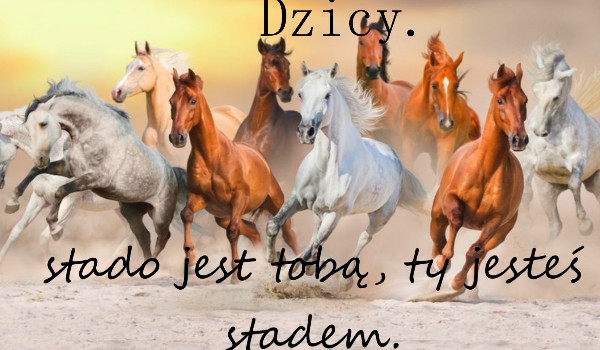 Dzicy-część pierwsza