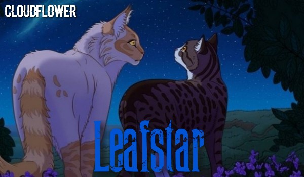 LeafStar °2/3