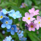 Silence_FoxQUEEEN211