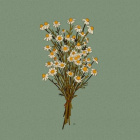 Flowers.is.my.home