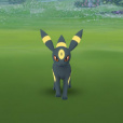 MASKACARNEJNUTY