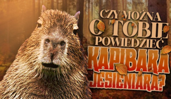 Czy można o Tobie powiedzieć „Kapibara Jesieniara”?