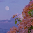 Monet2