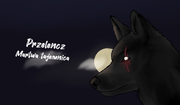 „Przełęcz” Martwa Tajemnica, Część 2