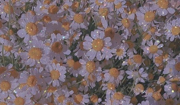 Jaką wróżką jesteś?