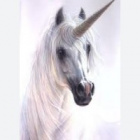 Laurach
