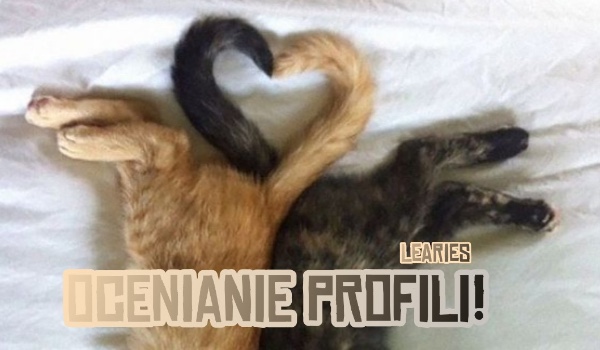 Ocenianie profilu @Bunny127