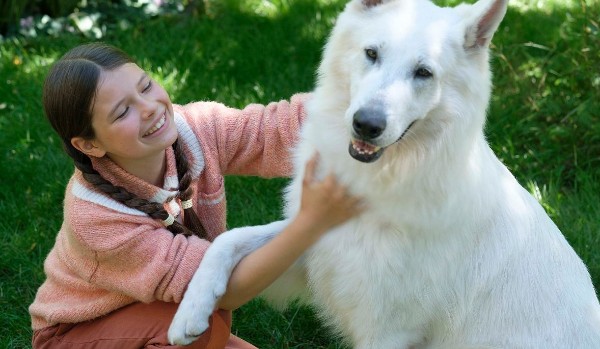 Recenzja – O psie który jeździł koleją