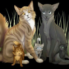 SzyszkowaChmuraWarriors