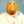 fancyborga111111111111