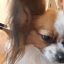 Max_11