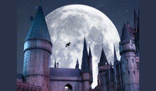 Tabliczki z Harrym Potterem #2