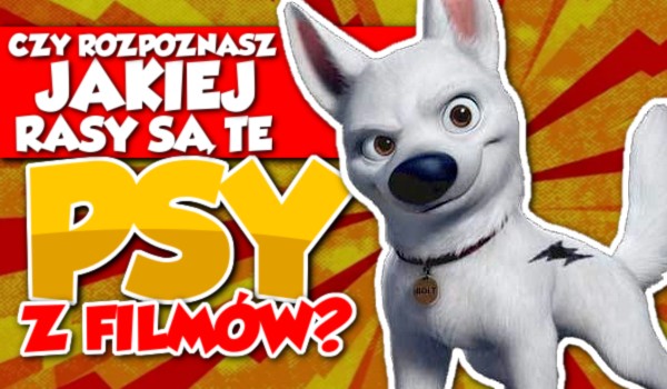 Czy rozpoznasz jakiej rasy są te psy z filmów?