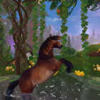 kapibarka_koniarka-yt