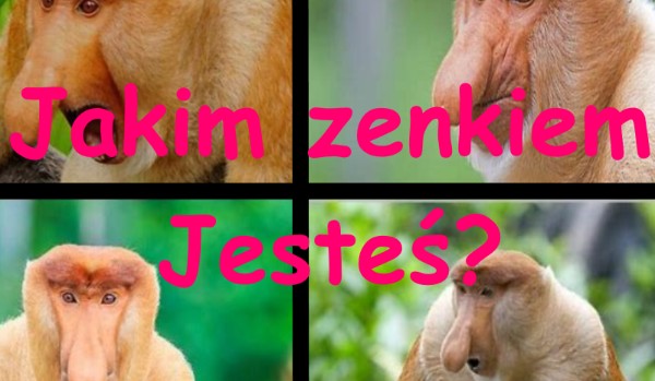 Jakim Zenkiem jesteś?