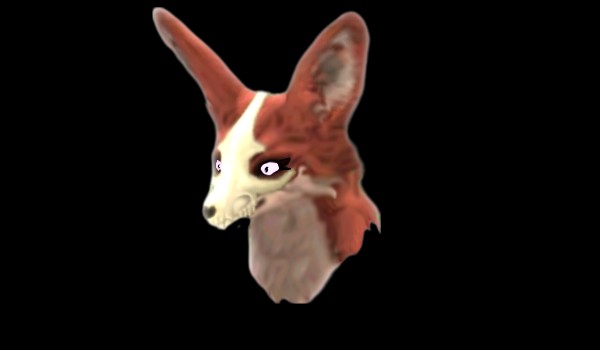 WildCraft – kim jesteś?