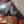 Jynxonpawzzz