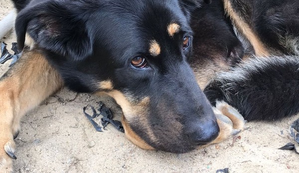 Dawaj test na admina