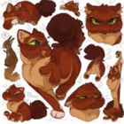 squirrelflight_thunderclan