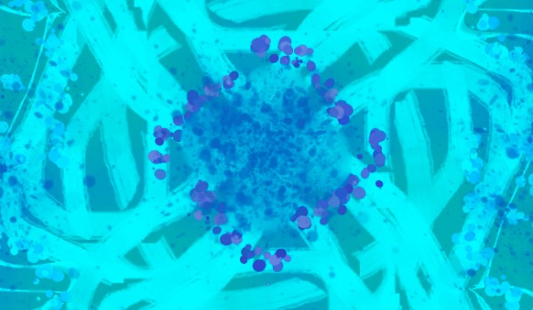 ile masz lat mega quiz