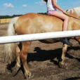 Oliwia_the_horse