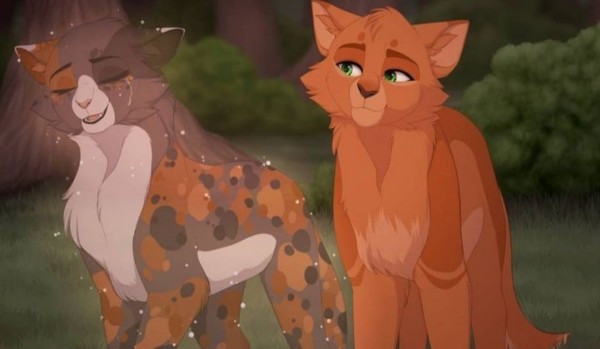 Ocenianie Shipu Lwi Płomień x Rozżarzone Serce