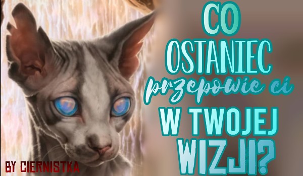 Co Ostaniec przepowie Ci w twojej Wizji?