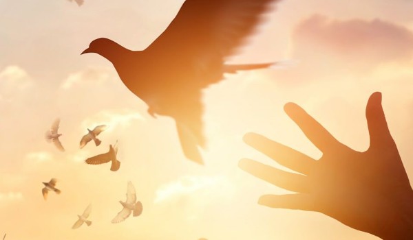 Nie będzie już nic