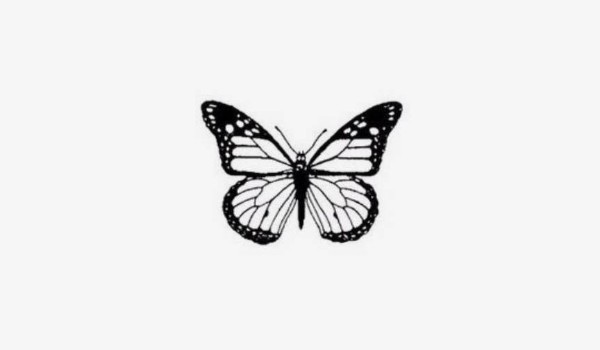 Zobaczymy czy dobrze znasz tik toka