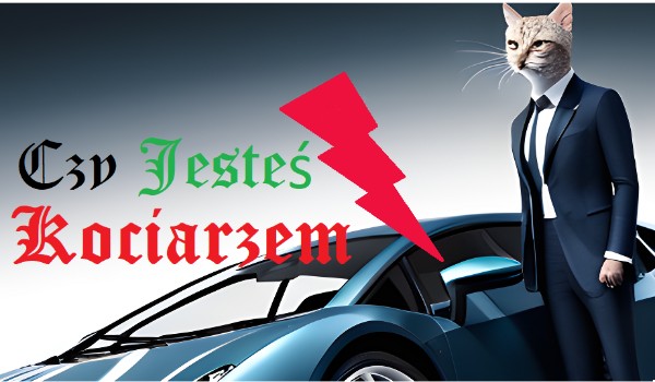 Czy jesteś Kociarzem?