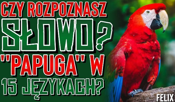Czy rozpoznasz słowo ”Papuga” w 15 językach?