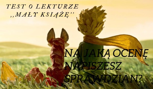 Test o lekturze ,,Mały Książę”