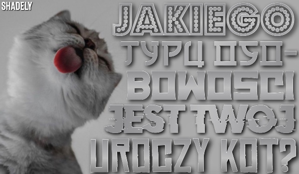 Jakiego typu osobowości jest Twój kot?