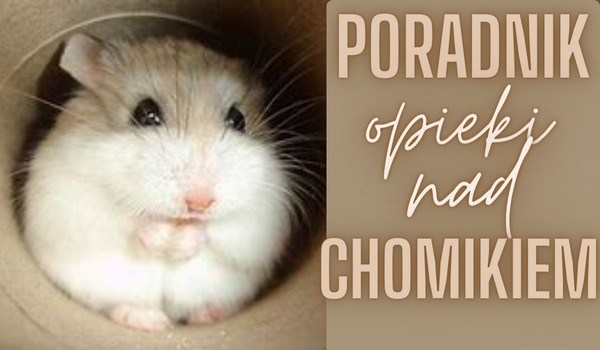 Poradnik opieki nad chomikiem: Miseczka czy poidełko? Co wybrać?