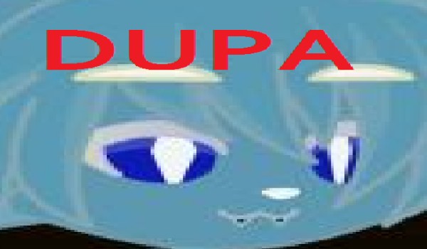 quiz o mat-ołach 4 (pine and glide rtime)