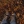 autumnvibes