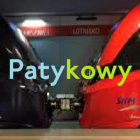 Patykowy
