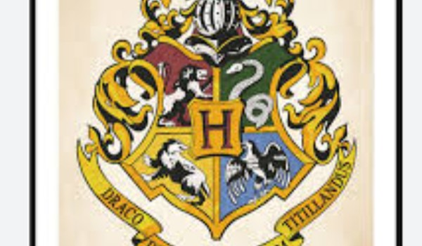 Jakim nauczycielem Hogwartu był*byś? ZDRAP!