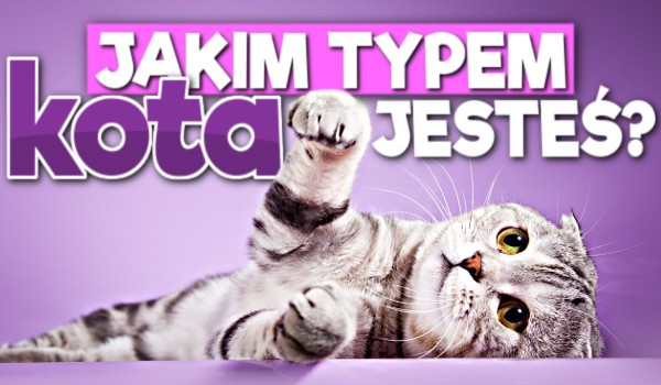 Jakim typem kota jesteś?