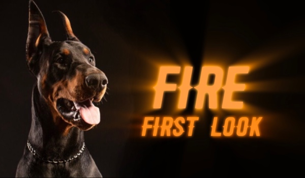 Fire , First look part two