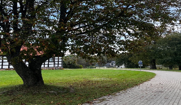 Urządzanie lasu test