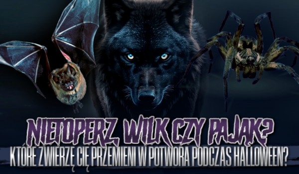 Nietoperz, pająk czy wilk – które zwierzę cię przemieni w potwora podczas halloween?