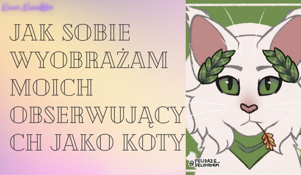 Jak sobie wyobrażam moich obserwujących jako koty. |4|