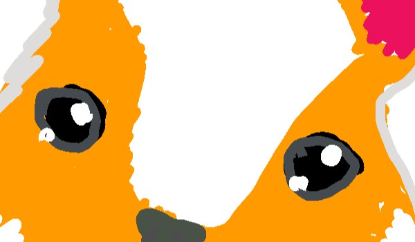 Wejdź i sobie sprawdź