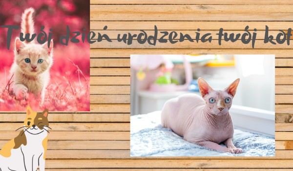 Twój dzień urodzenia twój kot