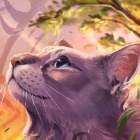 Warrior_cats5648lover