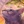 Warrior_cats5648lover