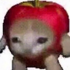 rozowyrower