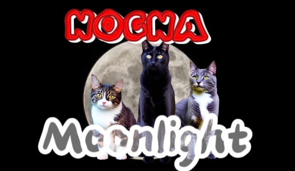 •Moonlight• ||Chapter Three||