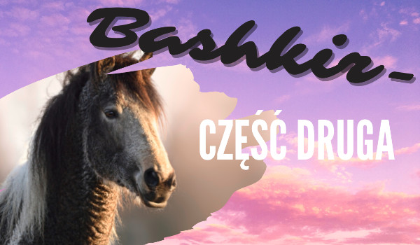 Bashkir – Część druga